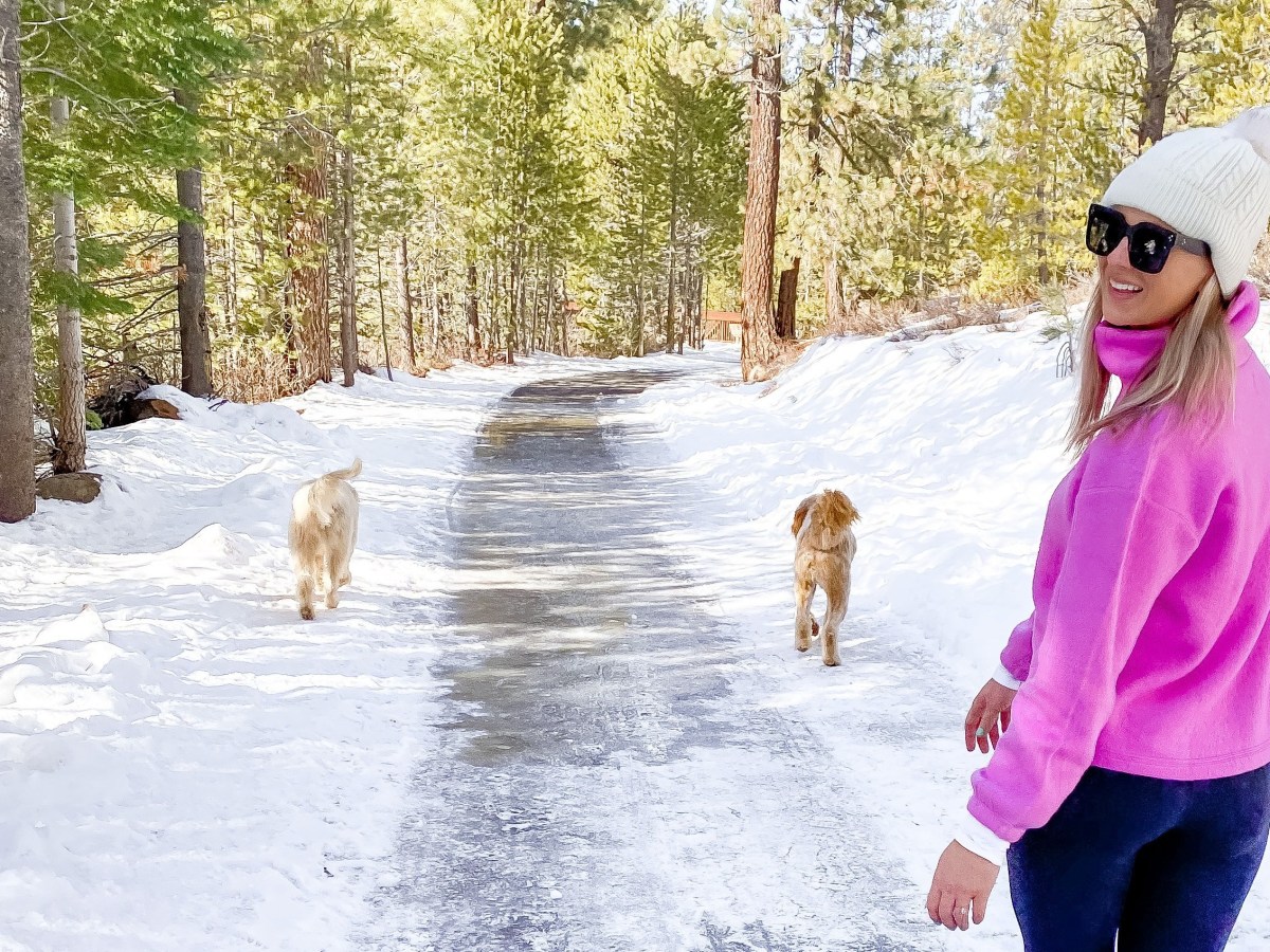 My Favorite Places to Walk the Dogs in the&nbsp;Winter