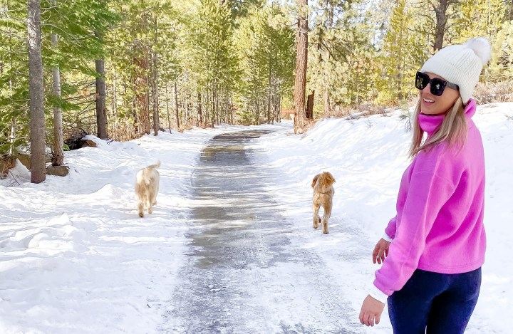 My Favorite Places to Walk the Dogs in the&nbsp;Winter
