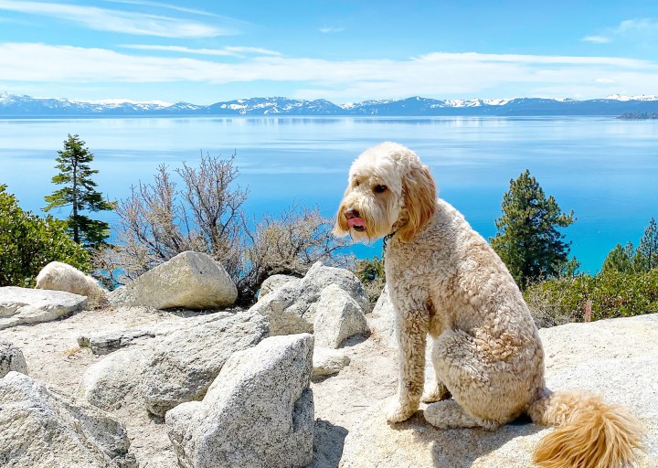 5 Easy Hikes in North Lake&nbsp;Tahoe