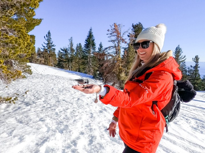 Trail Review: Snowshoeing Chickadee&nbsp;Ridge