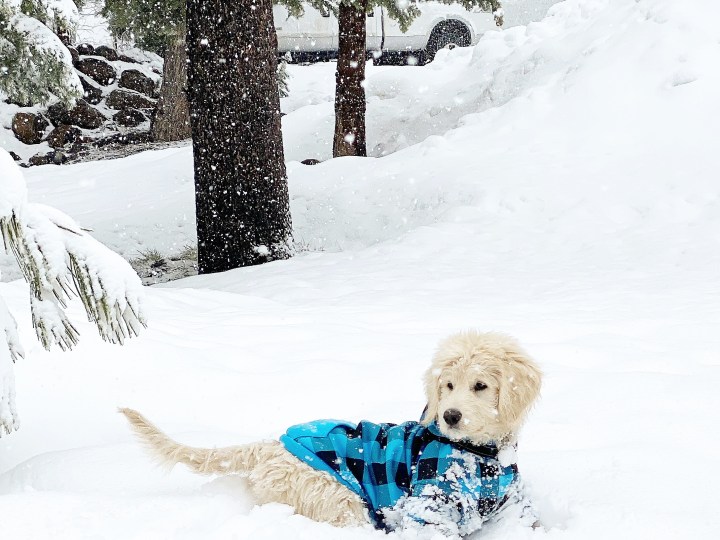 Prep for Winter in Tahoe Part 3: Snow&nbsp;Management