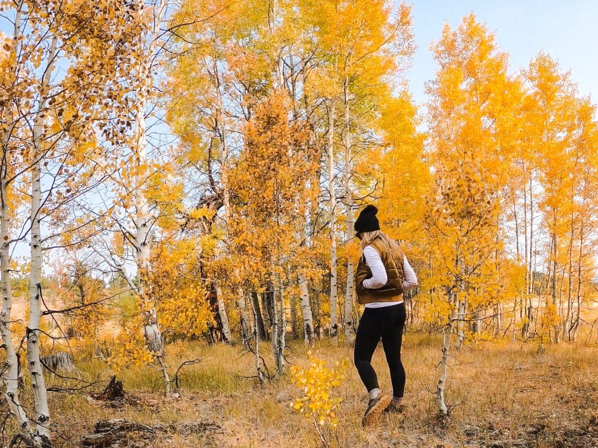 Where to Hike to See Fall Colors In&nbsp;Tahoe