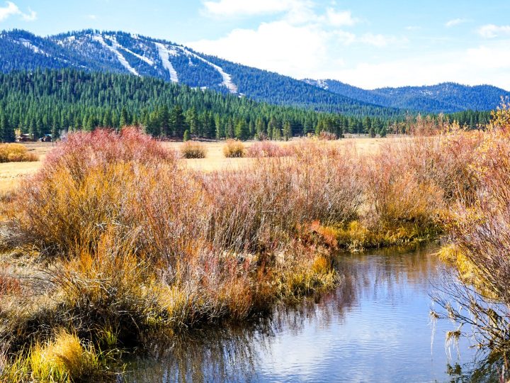 3 Places to Hike in Truckee in November without&nbsp;Snowshoes